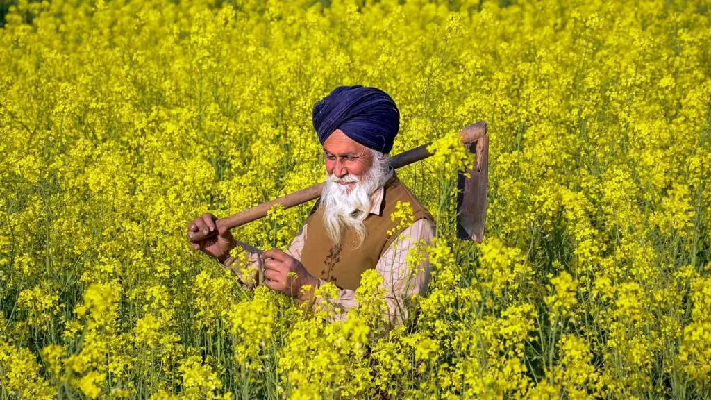 Safe food starts with empowered farmers, says Sid's Farm founder