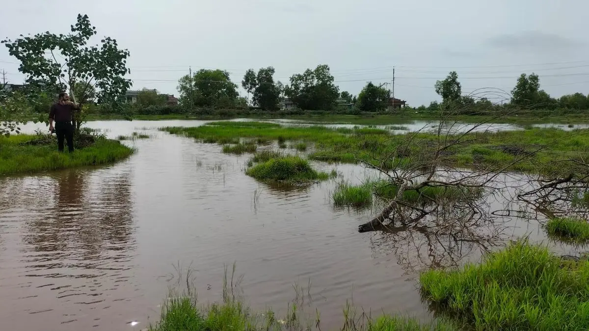 Kerala wetland with world's rarest plant set for heritage tag