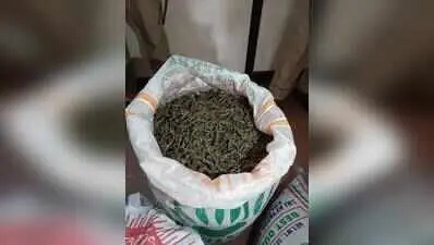 Former UoH student held for ganja supply, names 17 buyers