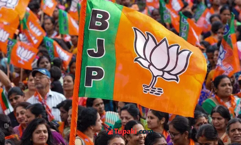 BJP reshuffles national committee, gives key posts to southern states