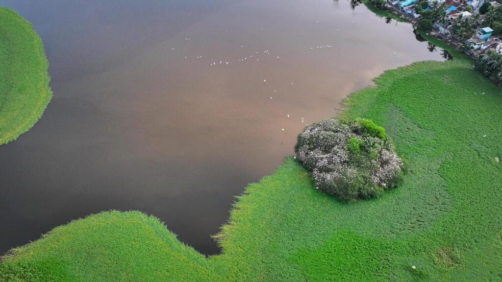 Supreme Court Extends Mining Approval Rule to Wetland Reserves
