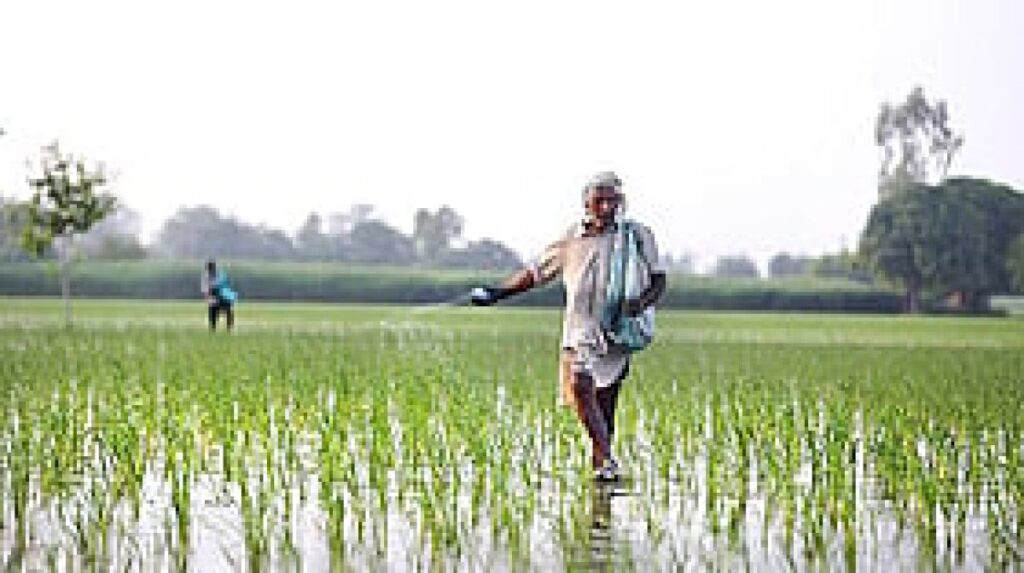 Nano fertilisers could cut India’s import dependence, but need testing