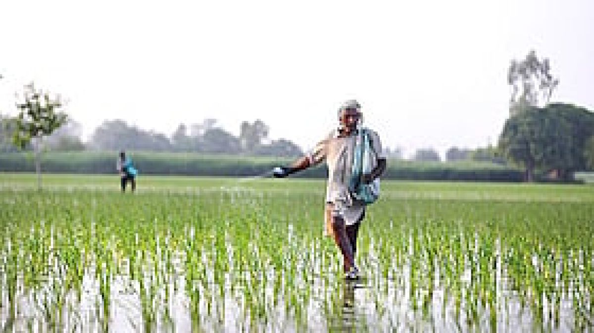 Nano fertilisers could cut India’s import dependence, but need testing