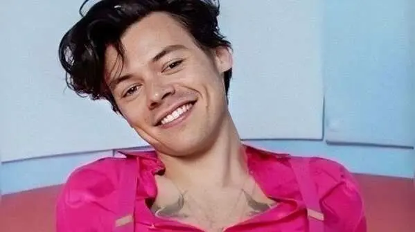 Harry Styles, Christopher Walken had odd jobs before fame