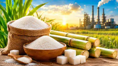 Sugar ex-mill prices drop 18% to Rs 55 per kg after import move