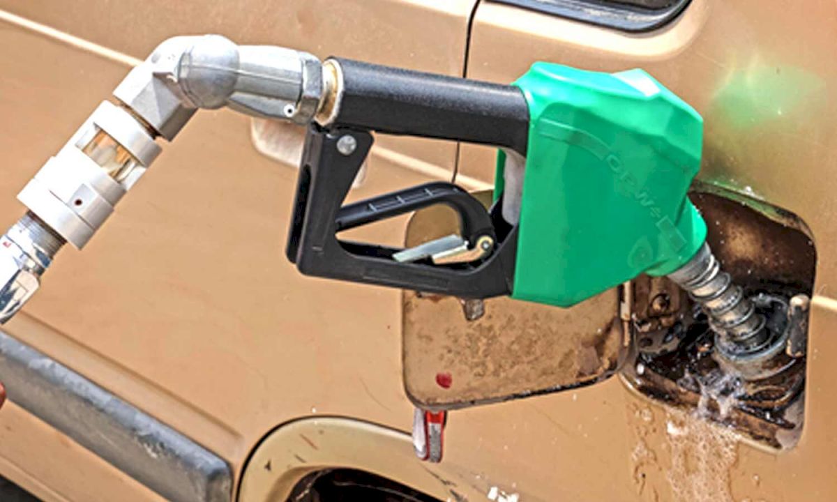 Government Says Ethanol Blending Prevented Rs 125 Petrol Price