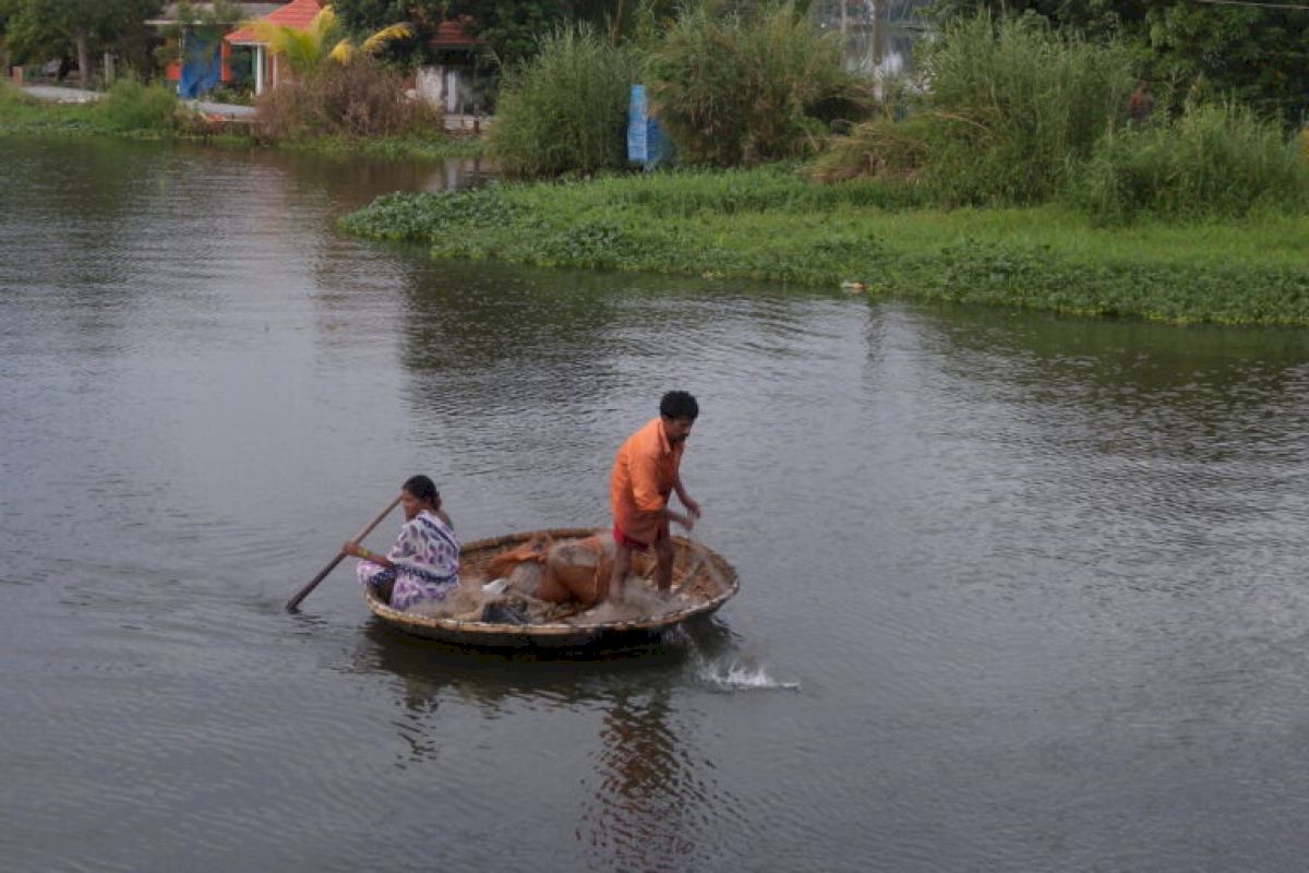 Kuttanad’s Wetland Crisis Demands Rethinking Human Intervention