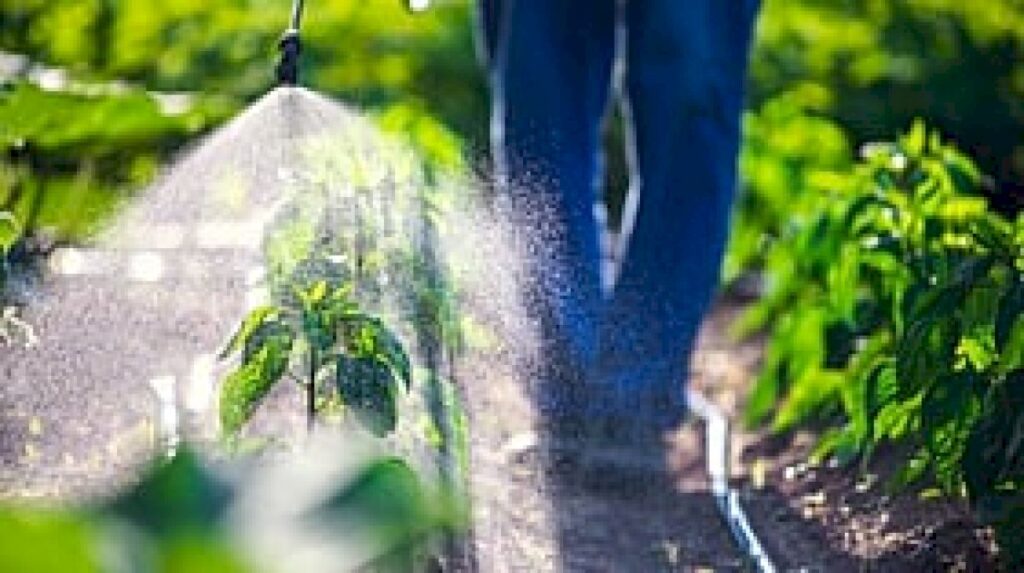 Experts back proposed ban on paraquat herbicide