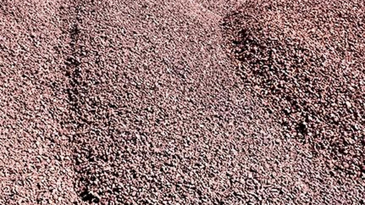 APMDC, JSW fast-track Prakasam iron ore project after pollution clearance