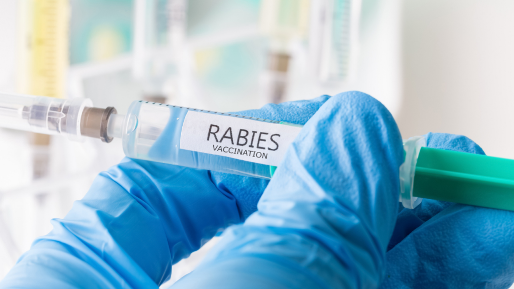 Rabies After Vaccination Is Rare, But Wound Care Still Matters