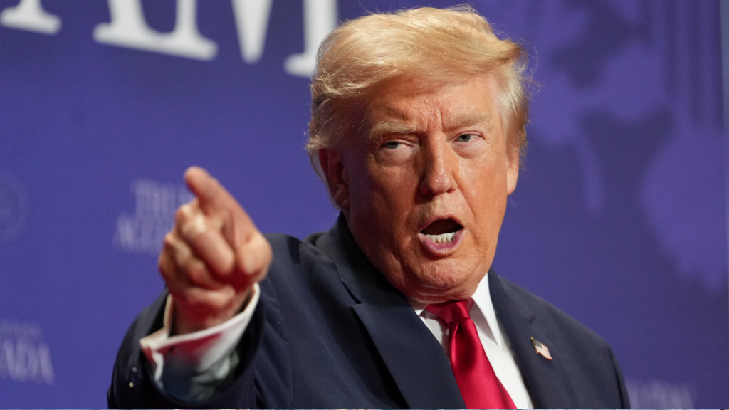 Trump Orders Target US Birth Tourism and Citizenship Exceptions