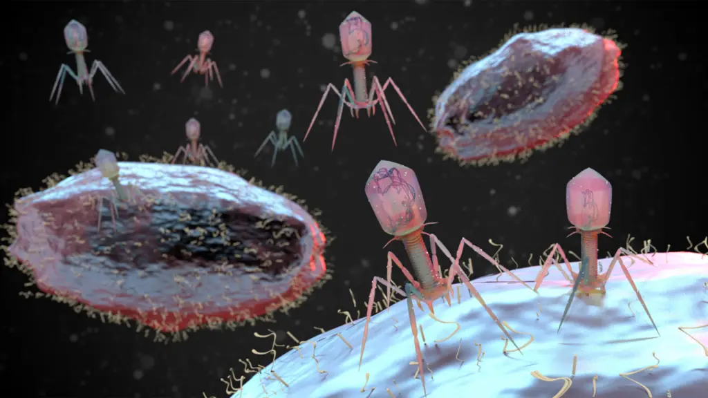 AI used to create 16 new viruses, aiding fight against superbugs