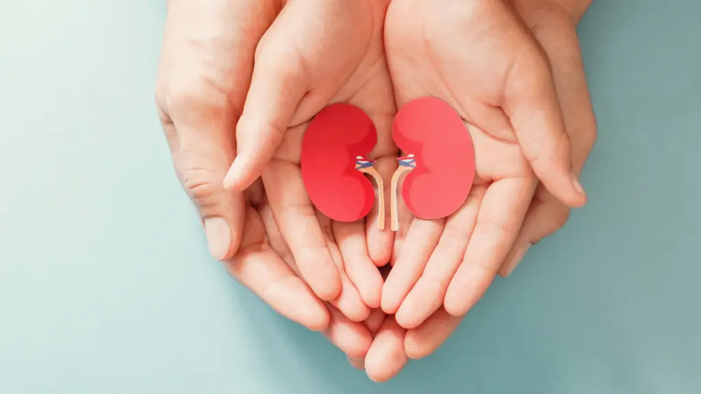 Cancer, surgery or chronic illness may not bar organ donation