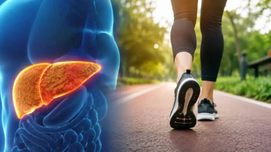 30 minutes daily: The walking formula for fatty liver