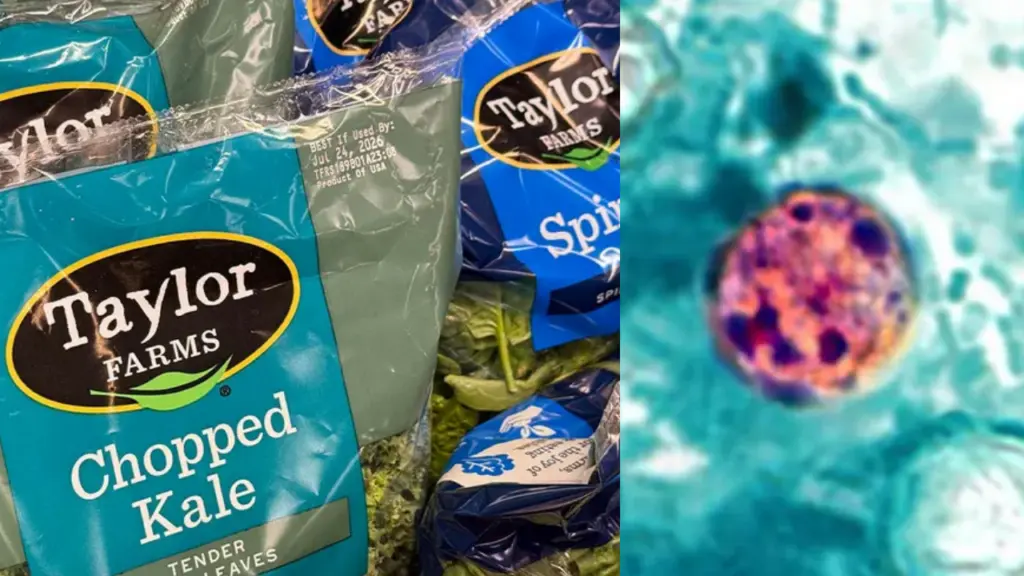 Michigan lifts lettuce warning as cyclospora cases decline