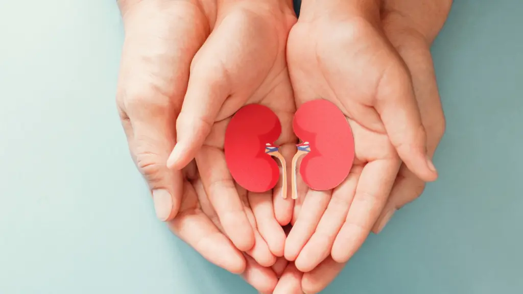 Organ donation awareness high but few register, study finds