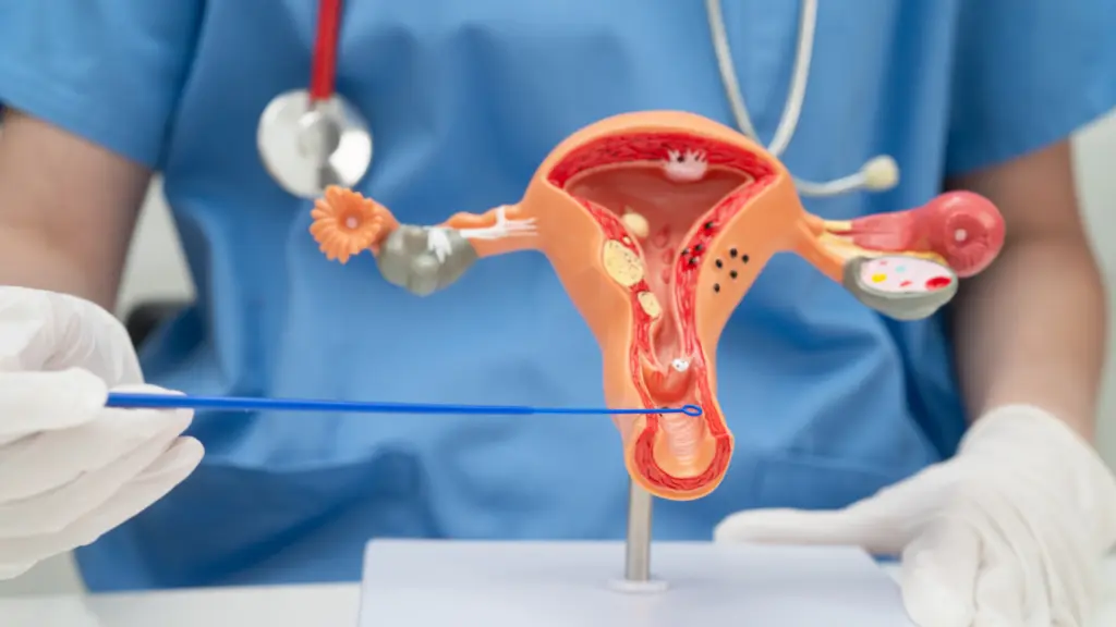 Monsoon Linked to More Vaginal Yeast Infections, Gynaecologists Say