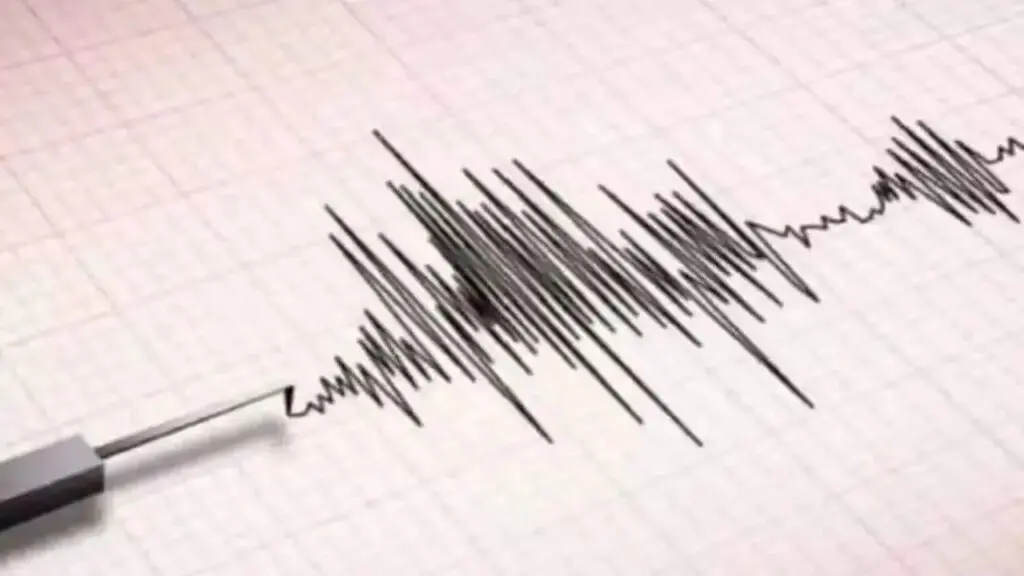 7.7 Magnitude Quake Off Flores Triggers Tsunami Warning