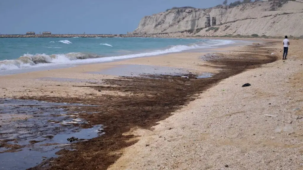 Oil slicks reported near Iran as Oman spill expands