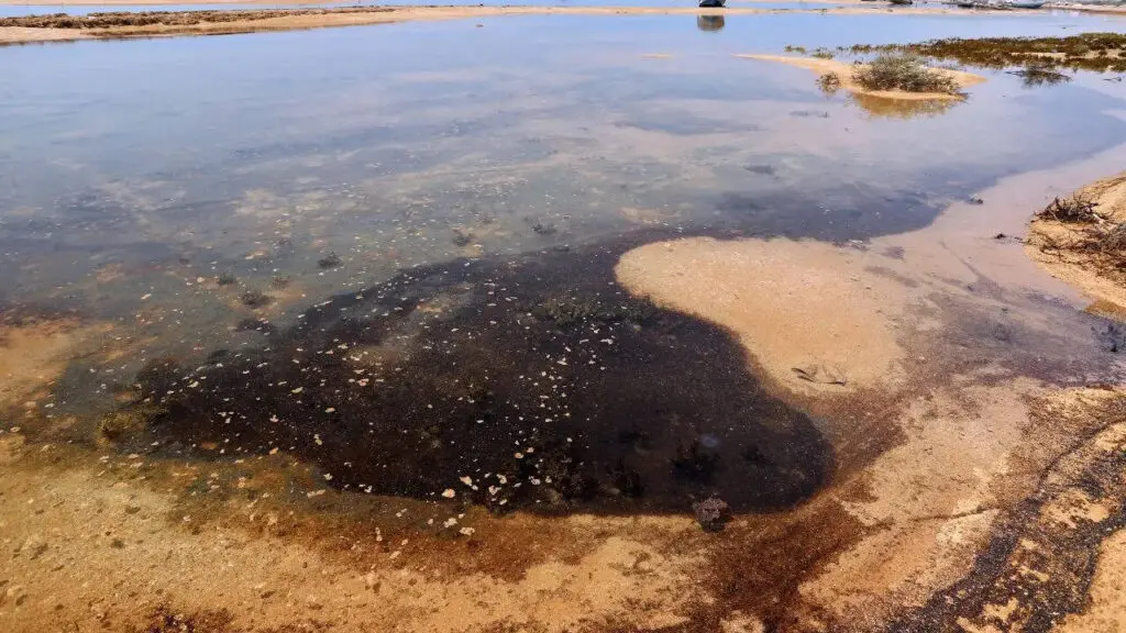 Oil slicks reported near Iran as Oman spill expands