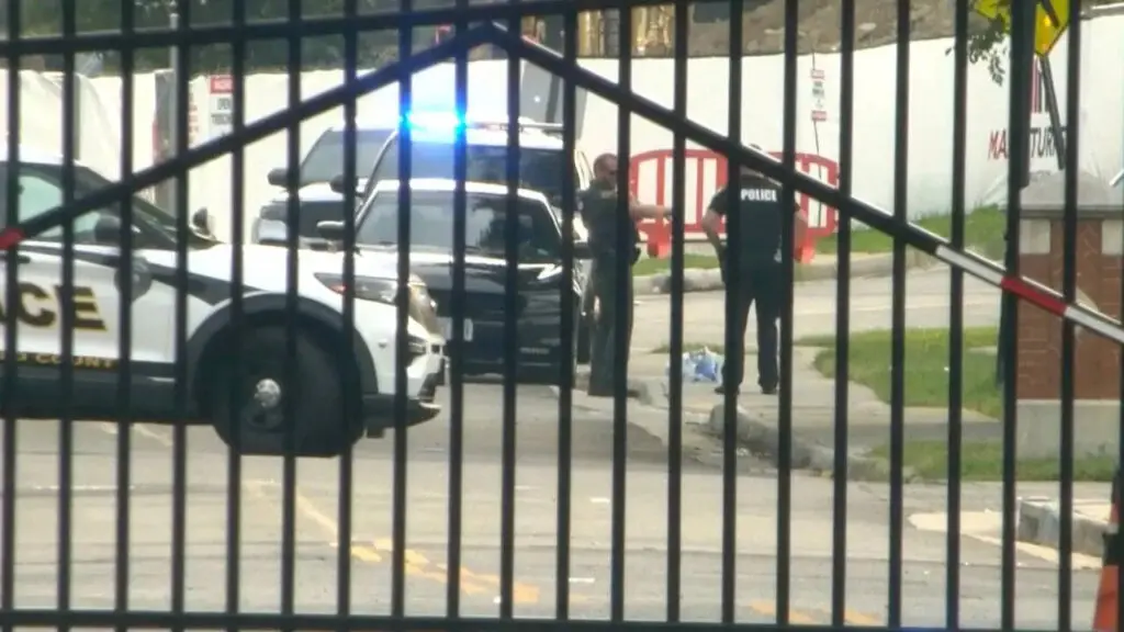 Mass shootings in US leave multiple dead, dozens wounded