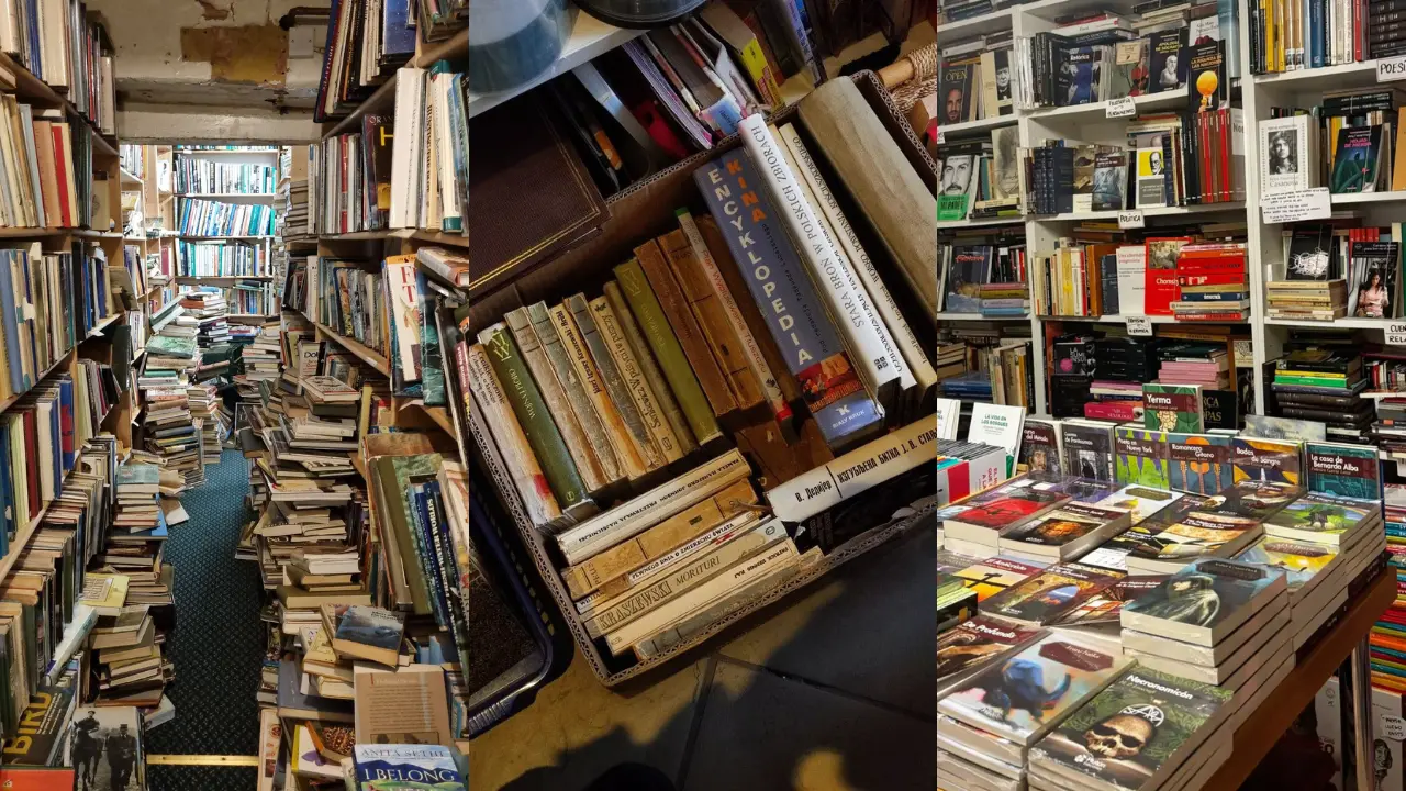 Second-hand book sale boom may be fuelled by AI training