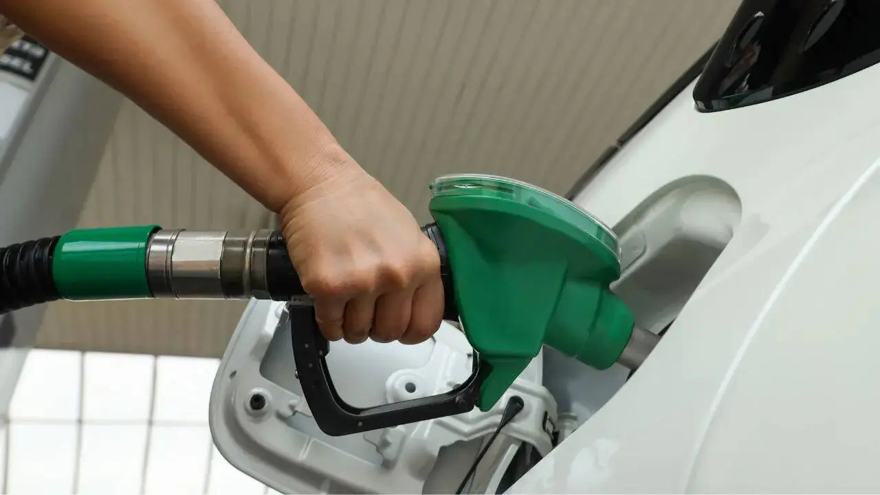 CEA suggests E10 petrol option alongside E20 to ease concerns