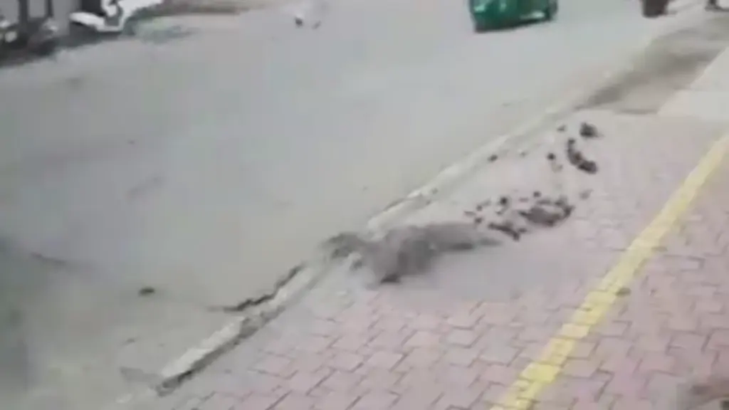 Indore road built under Smart City project caves in during pipeline test