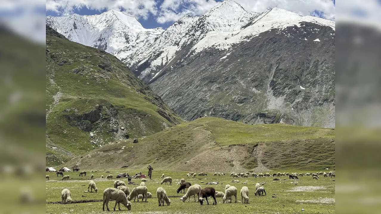 Ladakh groups demand assembly, compensation in September MHA meet