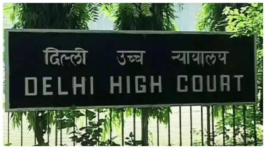 Delhi HC: live-in relationships akin to marriage, grants protection to couple