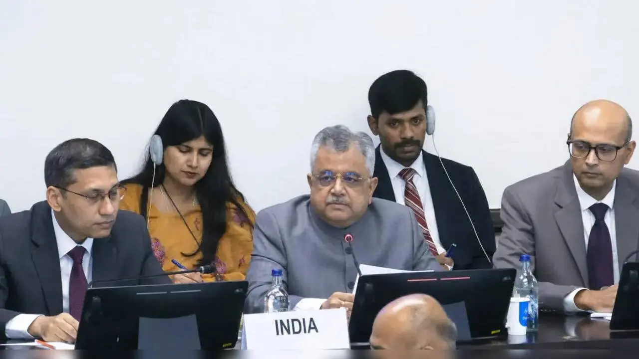 India tells UN J&K progress after Article 370 abrogation