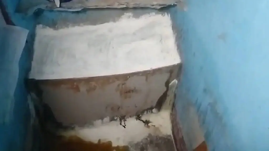 Woman's body found buried under kitchen slab in Puri, son missing