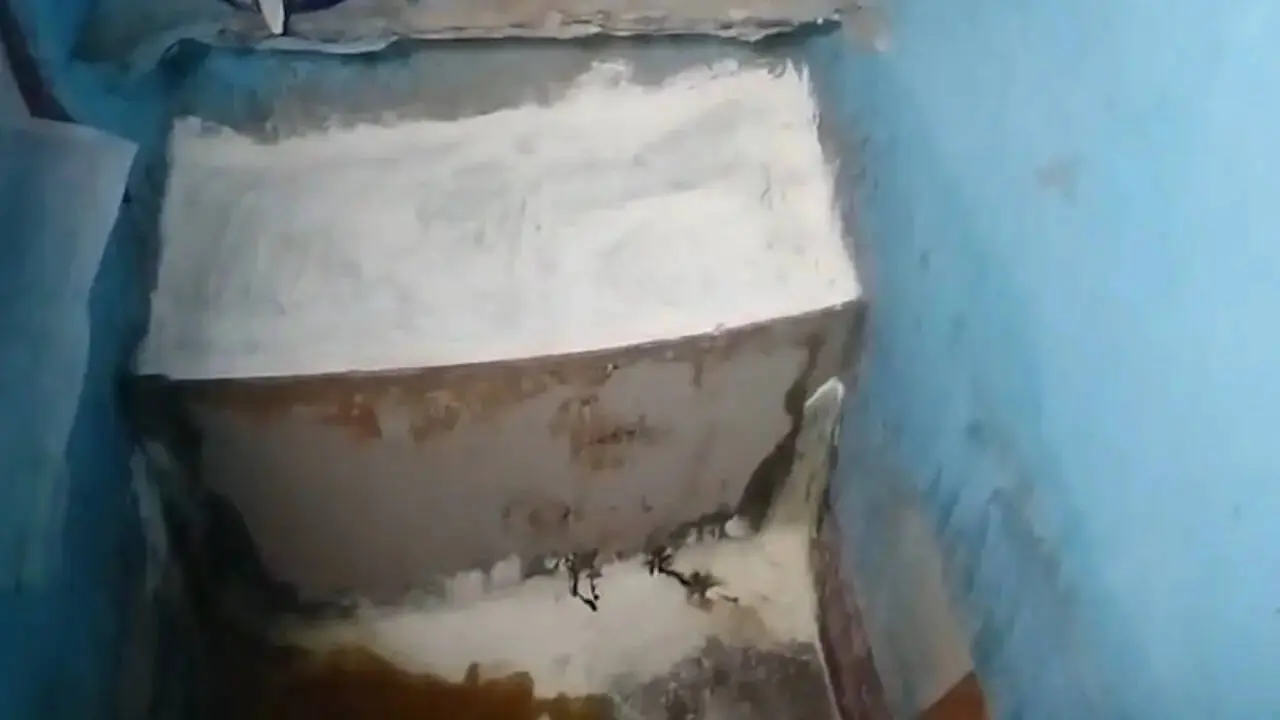 Woman's body found buried under kitchen slab in Puri, son missing