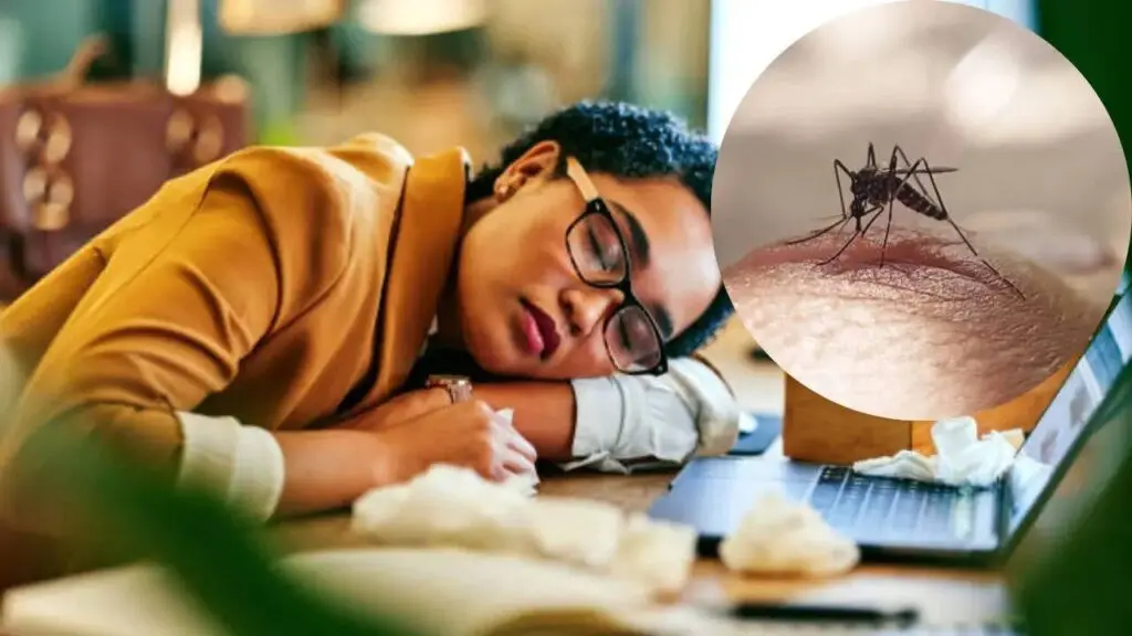 Dengue fatigue can last 2-4 weeks after fever ends, doctor says