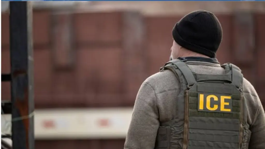 ICE arrests nearly 50,000 in July, highest monthly total under Trump