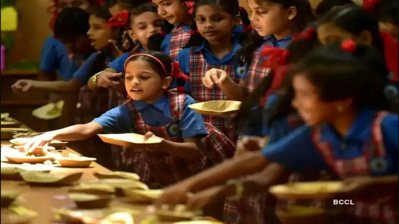Rajasthan HC bans junk food sale in schools and nearby