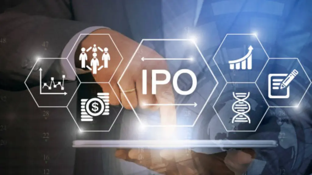 Foxhog IPO: Venture capital firm founded by car cleaner plans Rs 350 crore listing