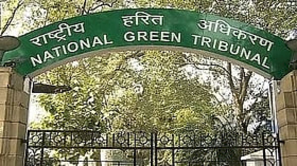 NGT Seeks Railway Report On Waste Disposal At Bhopal Station
