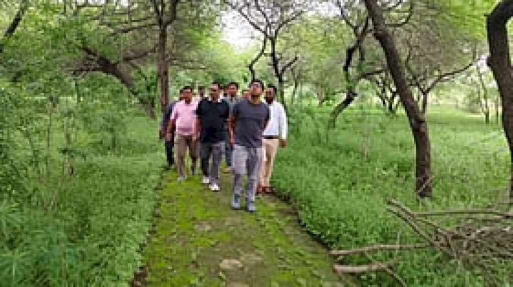 Indore civic body plans bamboo planting to curb soil erosion
