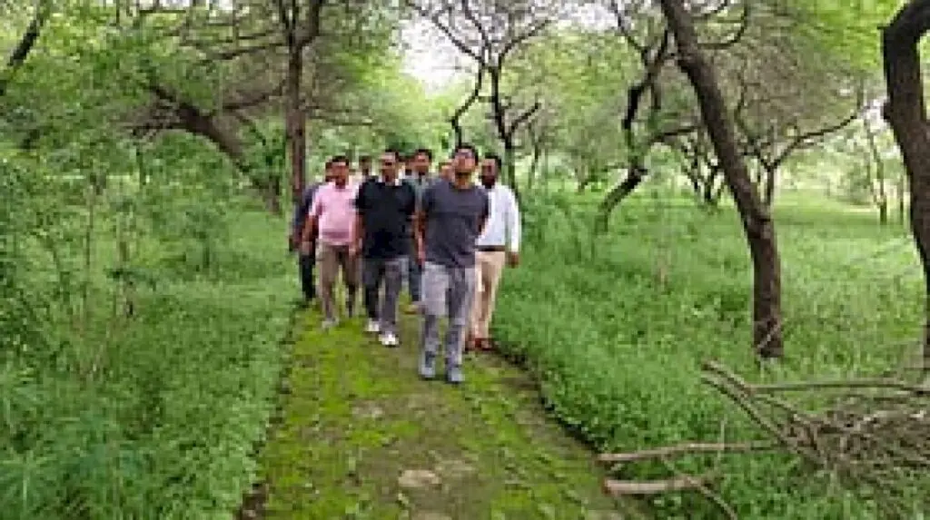 Indore civic body plans bamboo planting to curb soil erosion