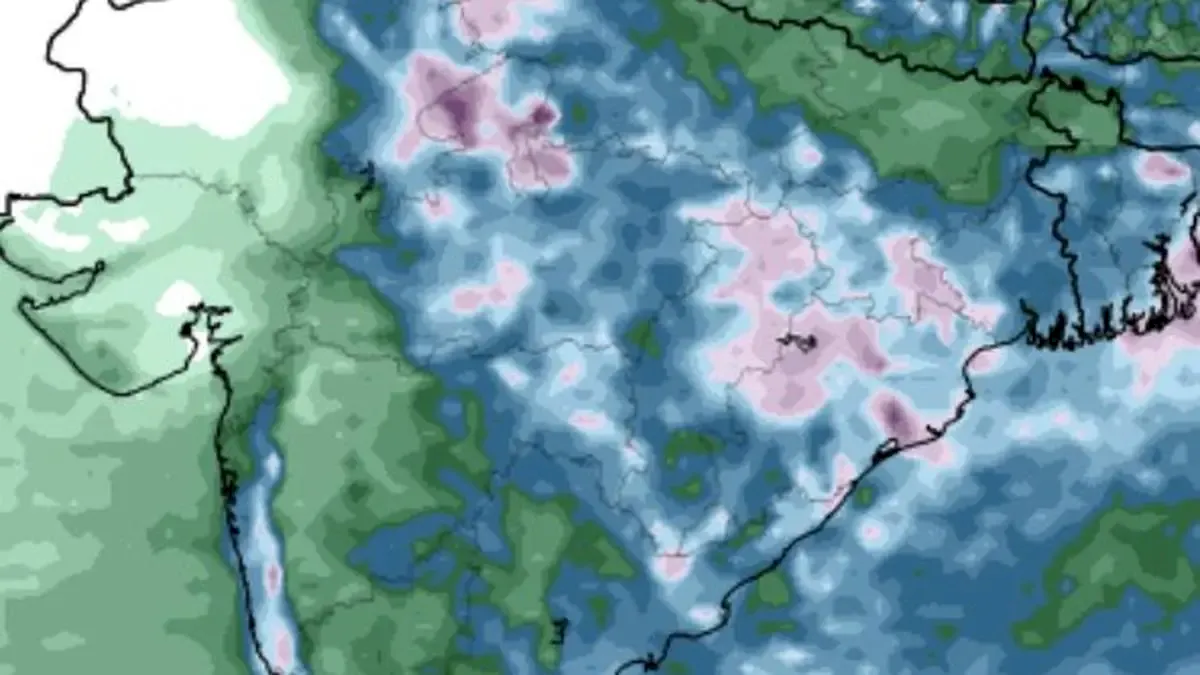 Orange Alert Issued Across Eight Kerala Districts As Heavy Rain Continues