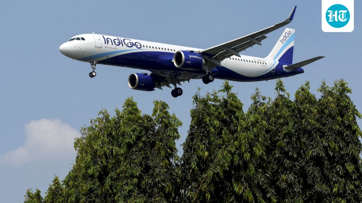 indigo@20