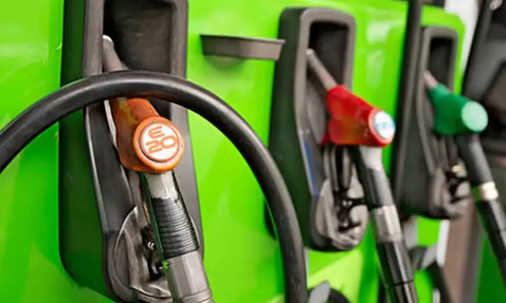 AAP councillors stall MCD House over E20 fuel policy