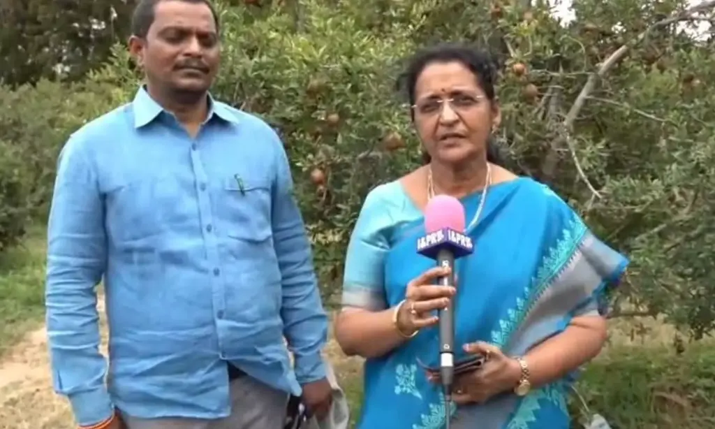 Anantapur farmers told to enroll in crop insurance by July 31