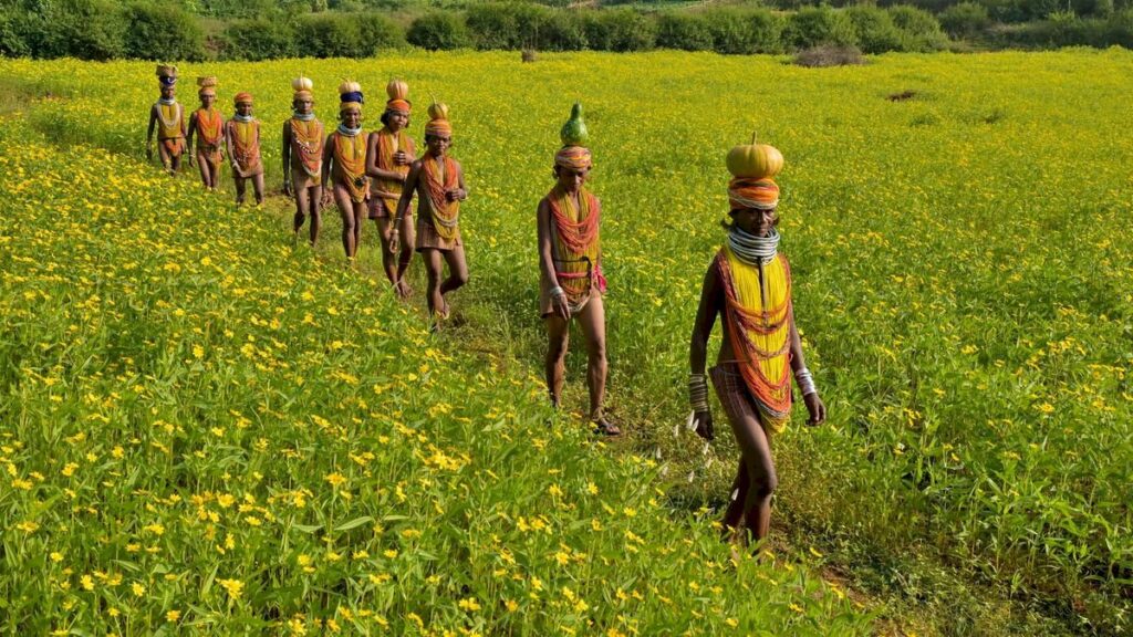 Bonda women preserve Odisha’s Ringa weaving tradition