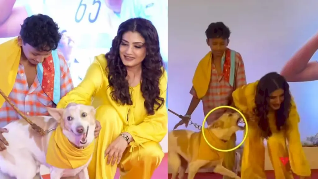 Raveena Tandon Stays Calm After Dog Grabs Outfit At Screening