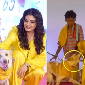 Raveena Tandon Stays Calm After Dog Grabs Outfit At Screening