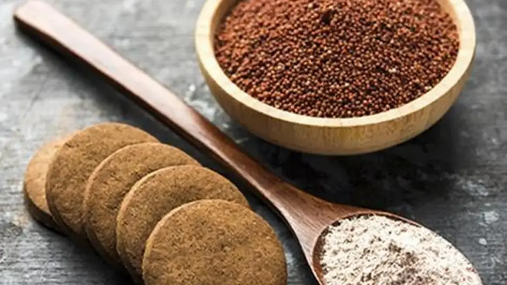 IIMR gets patent for automated millet roti-making machine