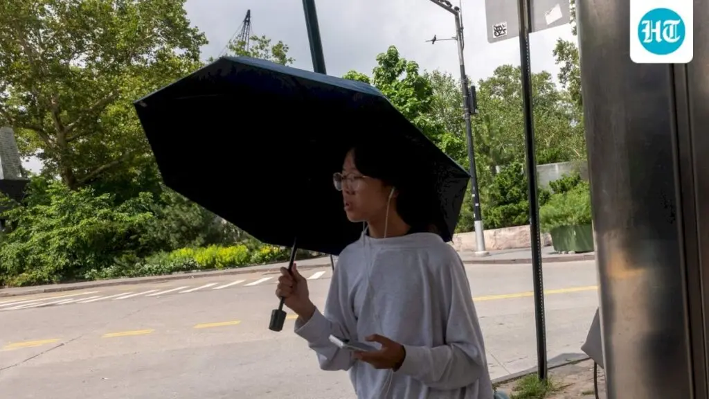 North Korea touts dog-meat soup as heatwave remedy