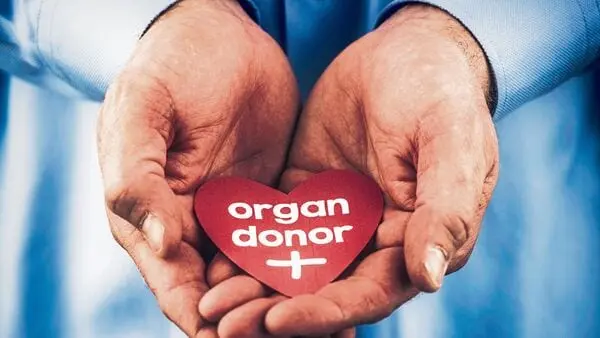 India rolls out national organ swap registry to boost transplants